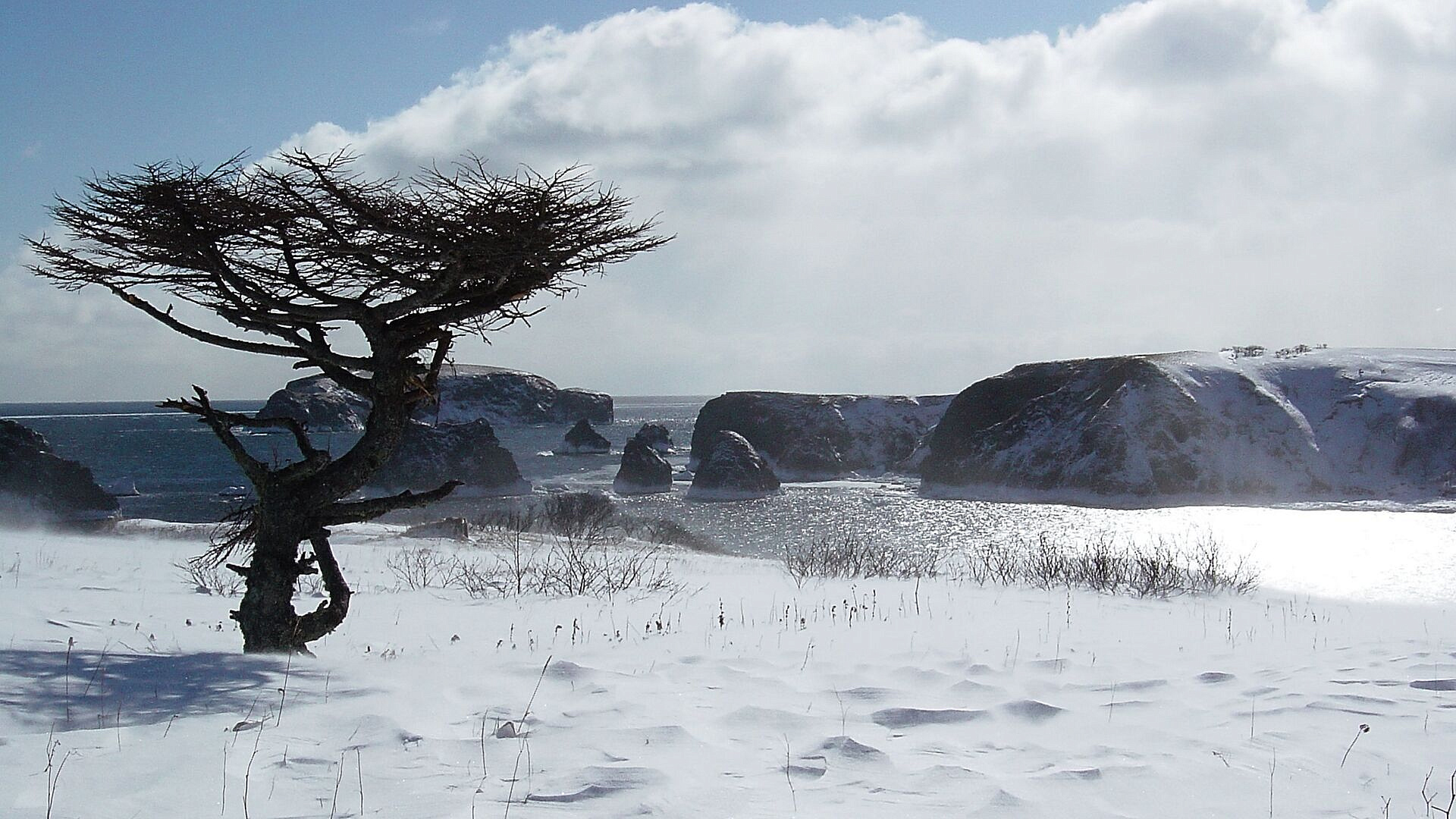 Наибольший интерес у инвесторов на Курилах вызывает туризм, считает Трутнев