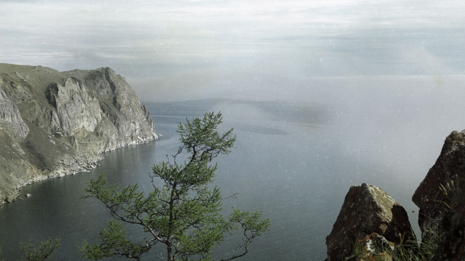 ����� �� ������ ������� ������������� ������������ ���������� ���