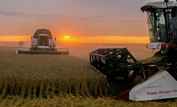 В Союзе экспортеров зерна рассказали о доле России на мировом рынке