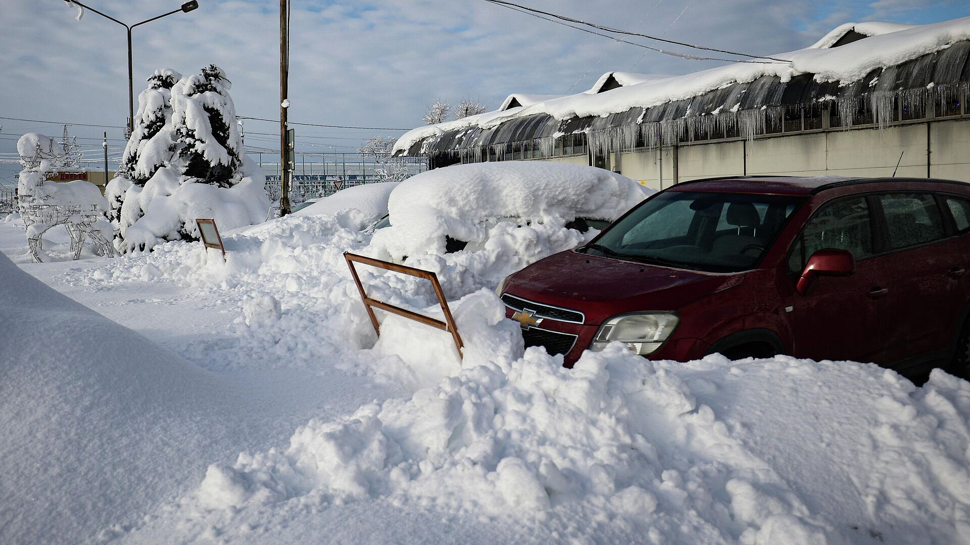 �� ������ �������� ������������ ���������������� ����� �������� �� ������