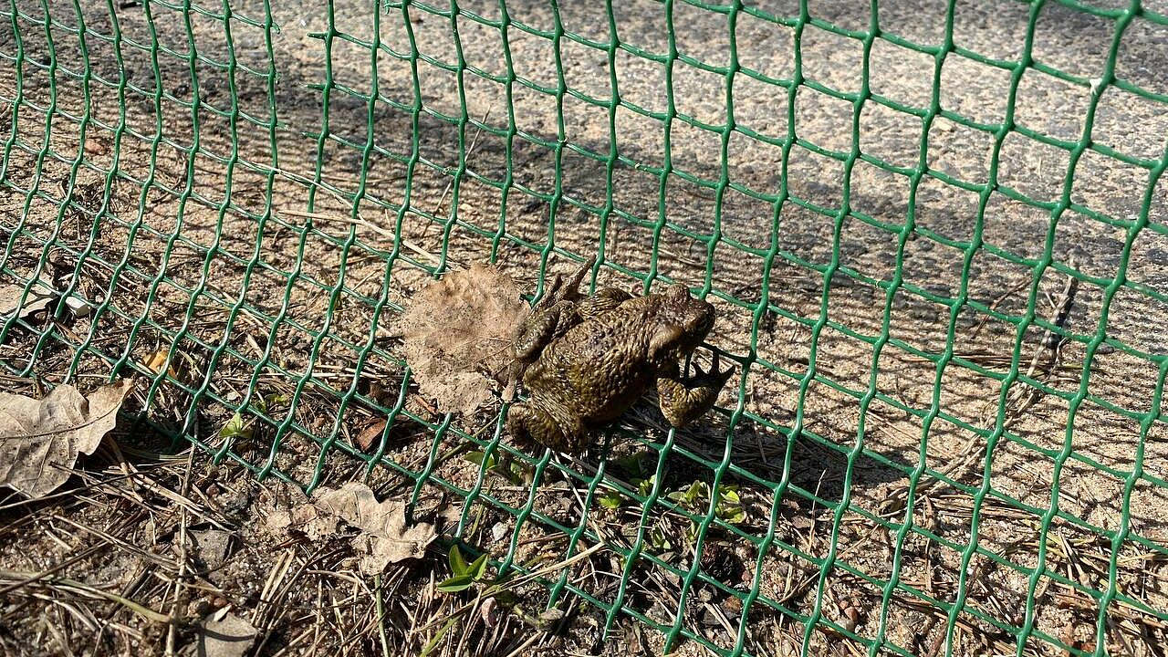 � ���������� ��������� ��������� ����� ������ ����� 22 ����� ��� � �������