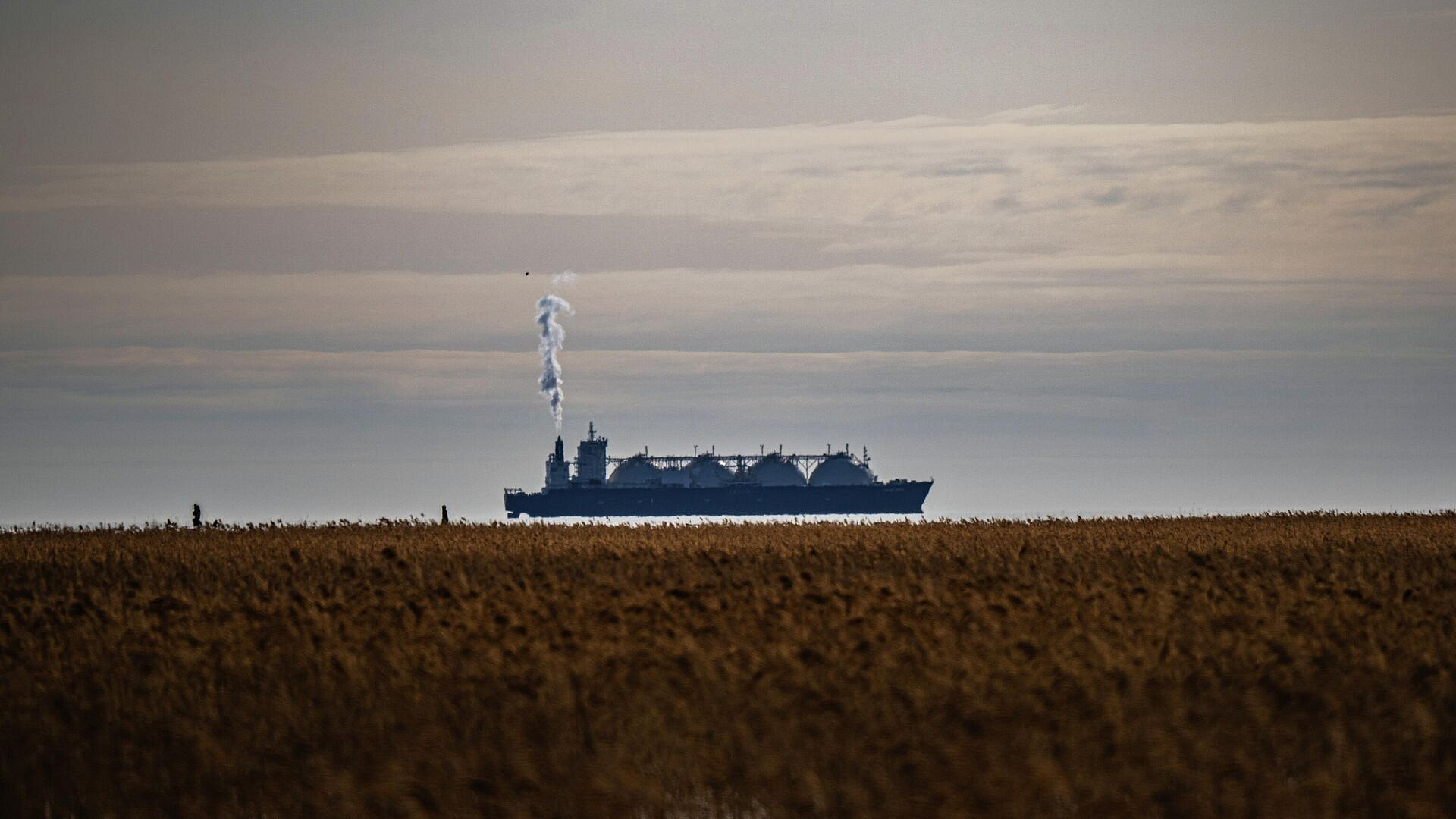 В Японии допустили альтернативные закупки СПГ