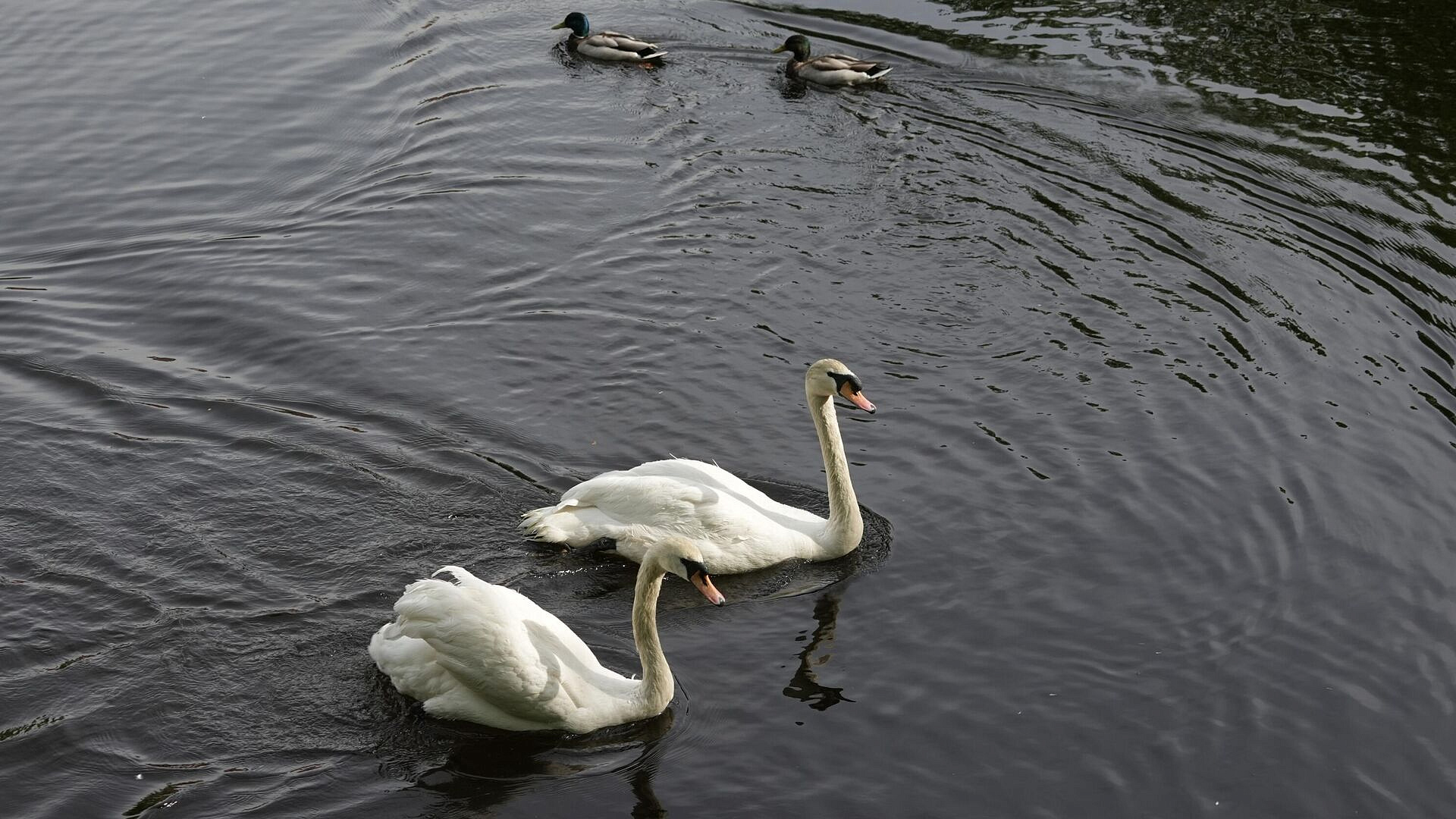 ������ ������ � ������ ��������� � ������ ��� � ����������