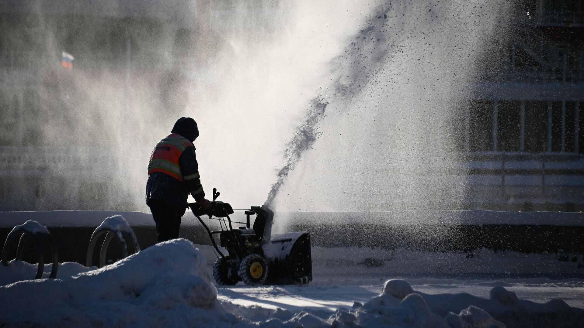 � ������ ������ ����� ������ ������ 1994 ����