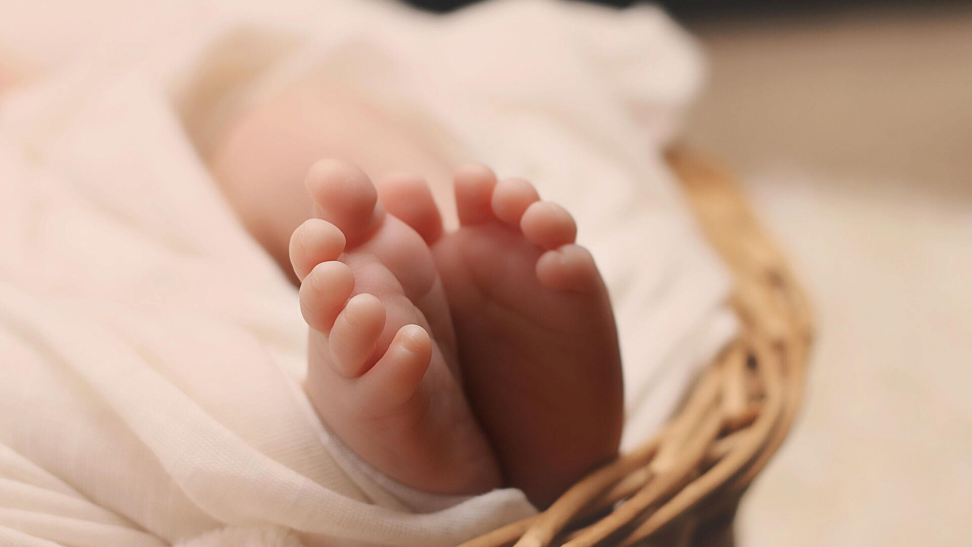 ��� �������� ����������� ���� � �������� ���������� � ��������