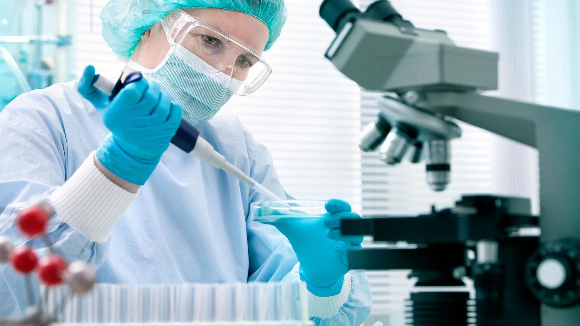 ������ ������������� ��������, ��������� ������� ������