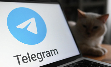 Telegram проигнорировал 150 тысяч запросов от России, заявил Шадаев