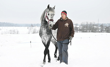 Корчагин: необходимо создать Академию русской тройки