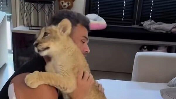 ������ �� ����������� �������� ������� � ��������