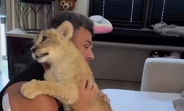 ������ �� ����������� �������� ������� � ��������