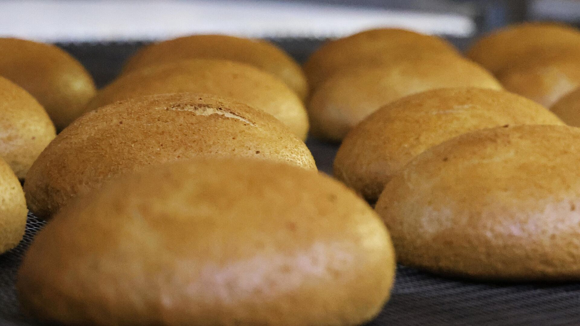 ���������� ������ �������� � ������ �� �����