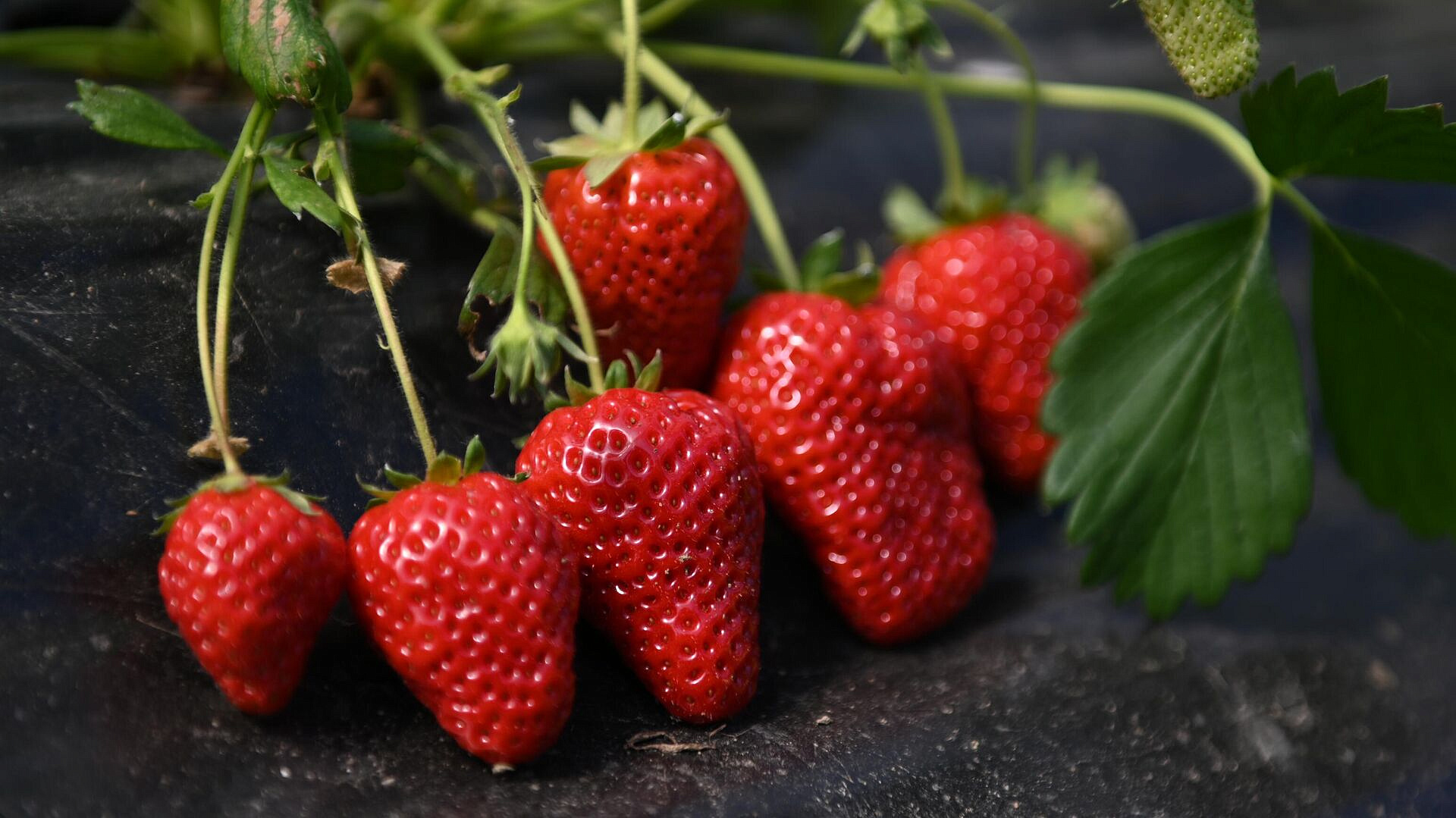 ������ � ������� ���� ����� ��������� ������� �������� �� ���� �����