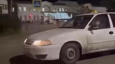 Мужчину оштрафовали за перевозку спаривающихся енотов на крыше автомобиля