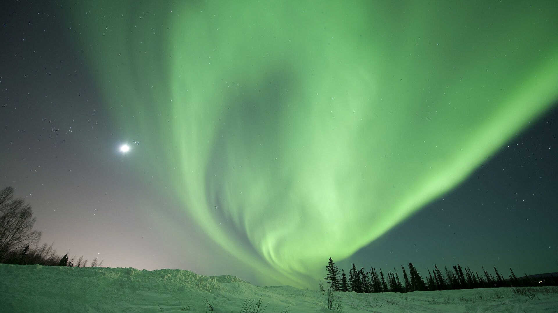 ������ ��������� ���� ��������� �������� ������