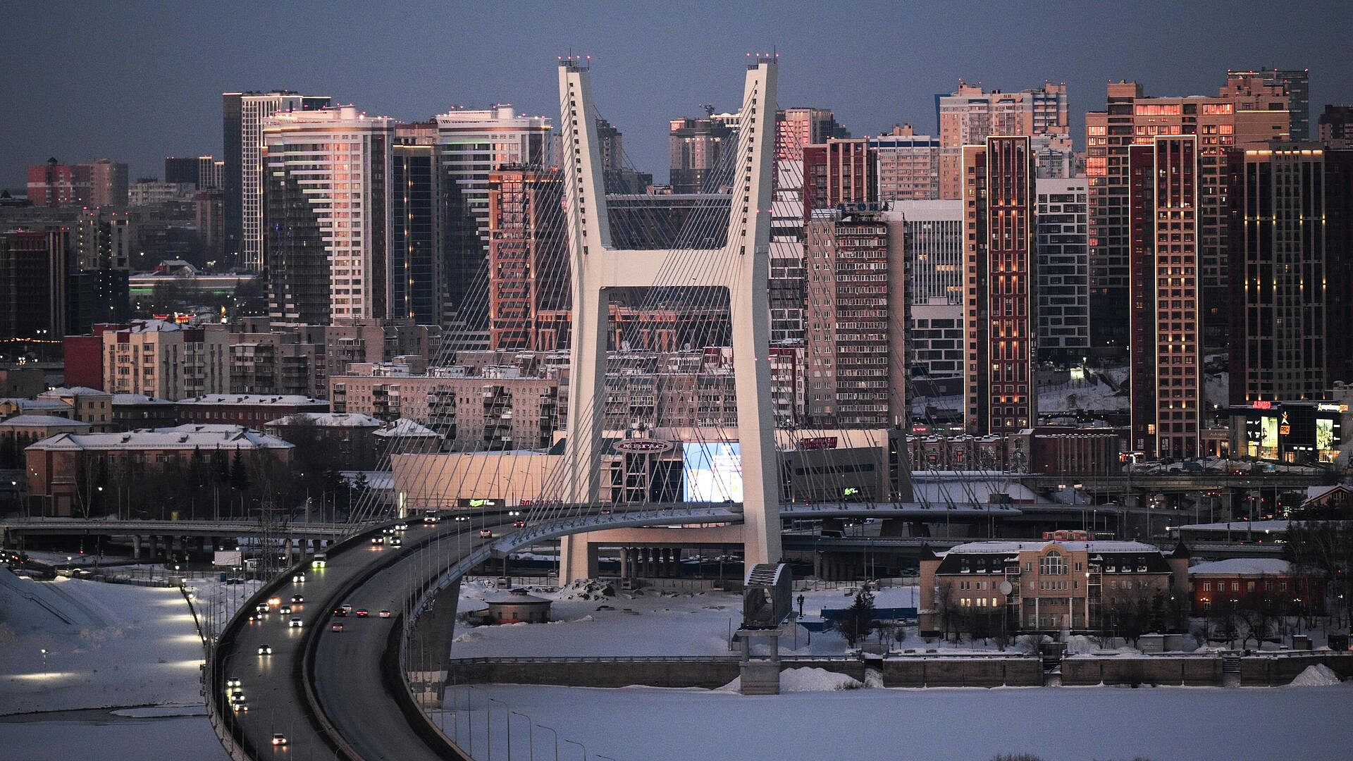 В Новосибирскую область направили группу для анализа ветеринарной ситуации