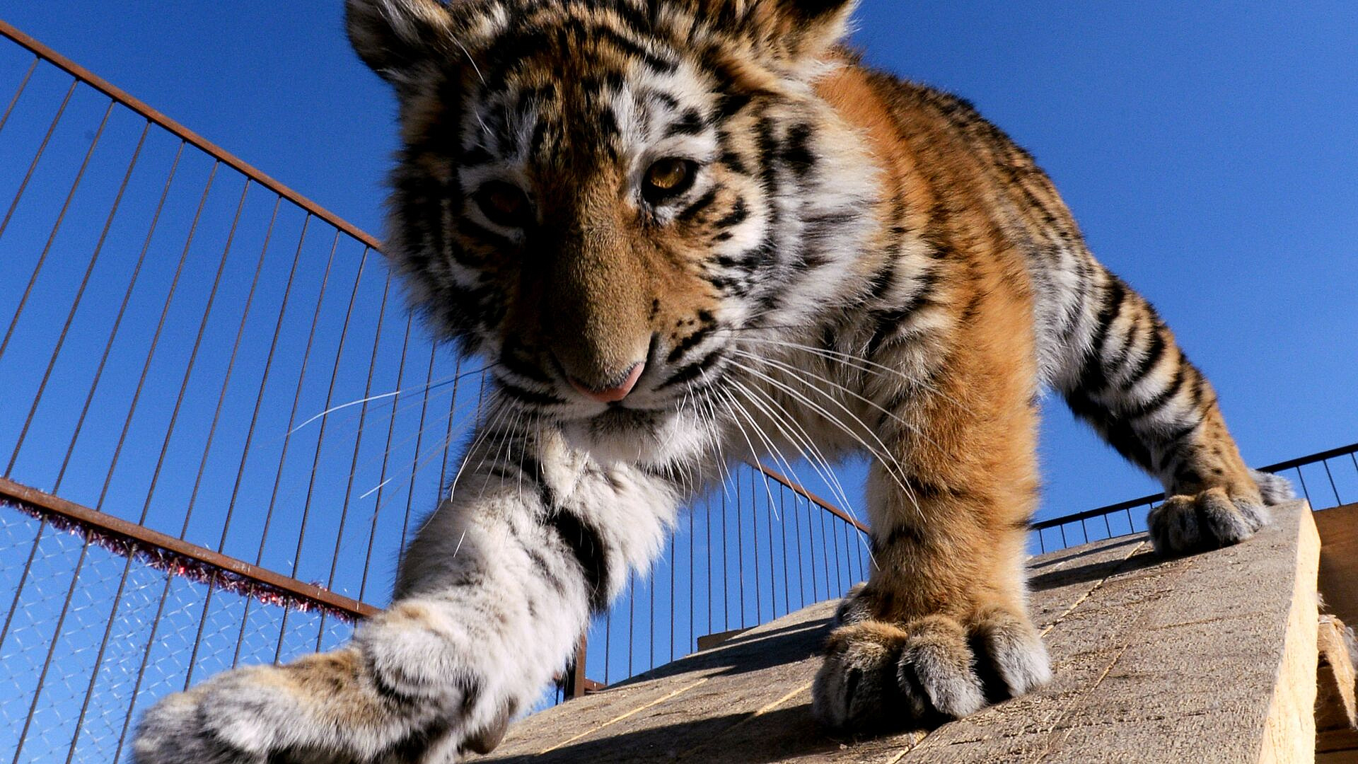 � �������� ���������� ��������� ��������� �������� ��� ������