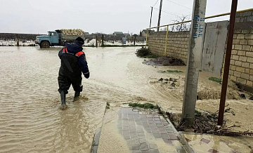 В Дагестане рассказали, какой ущерб ливни нанесли сельскому хозяйству