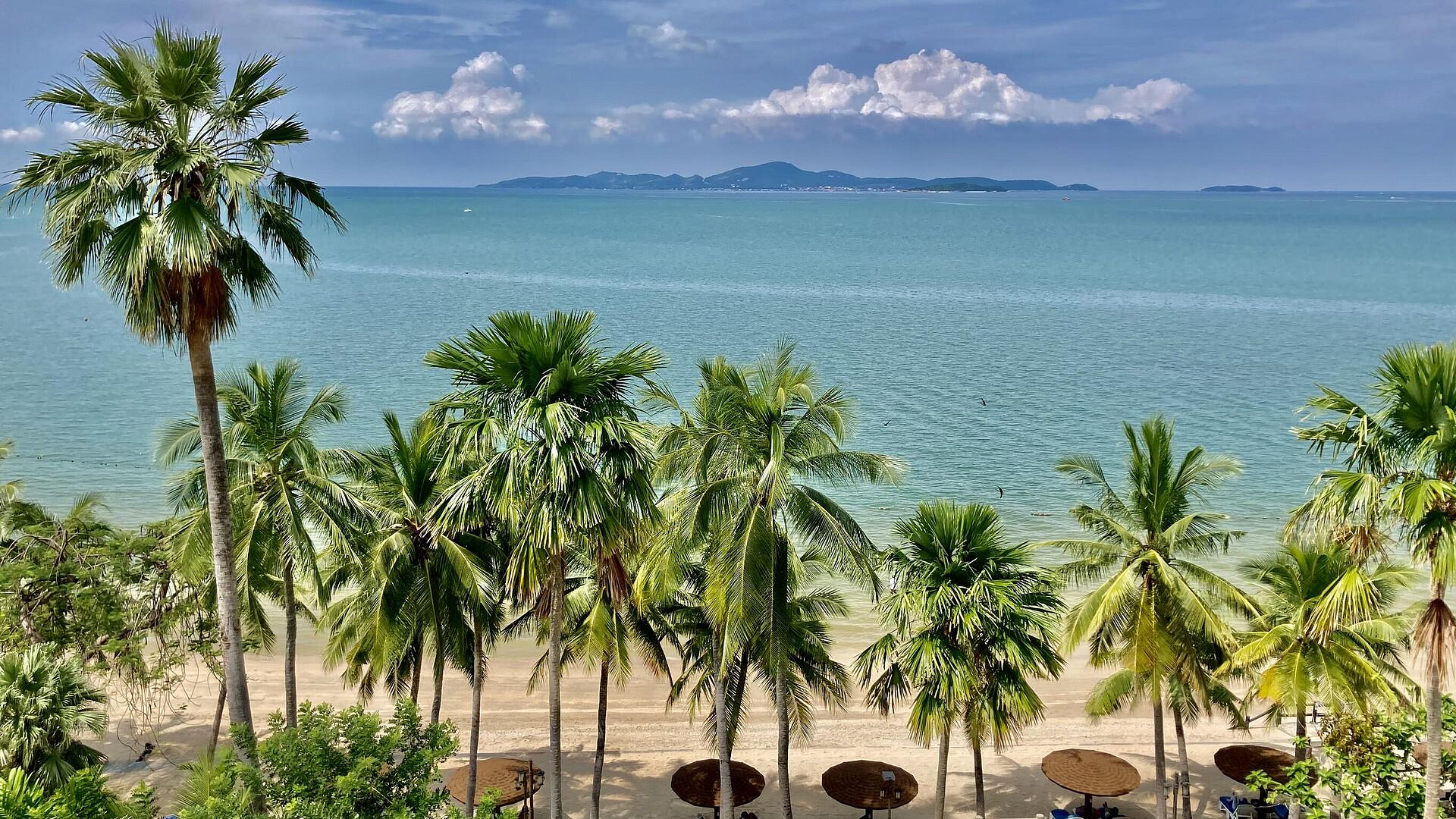 МИД: Таиланд пока не принял решение о сокращении сроков безвиза для россиян