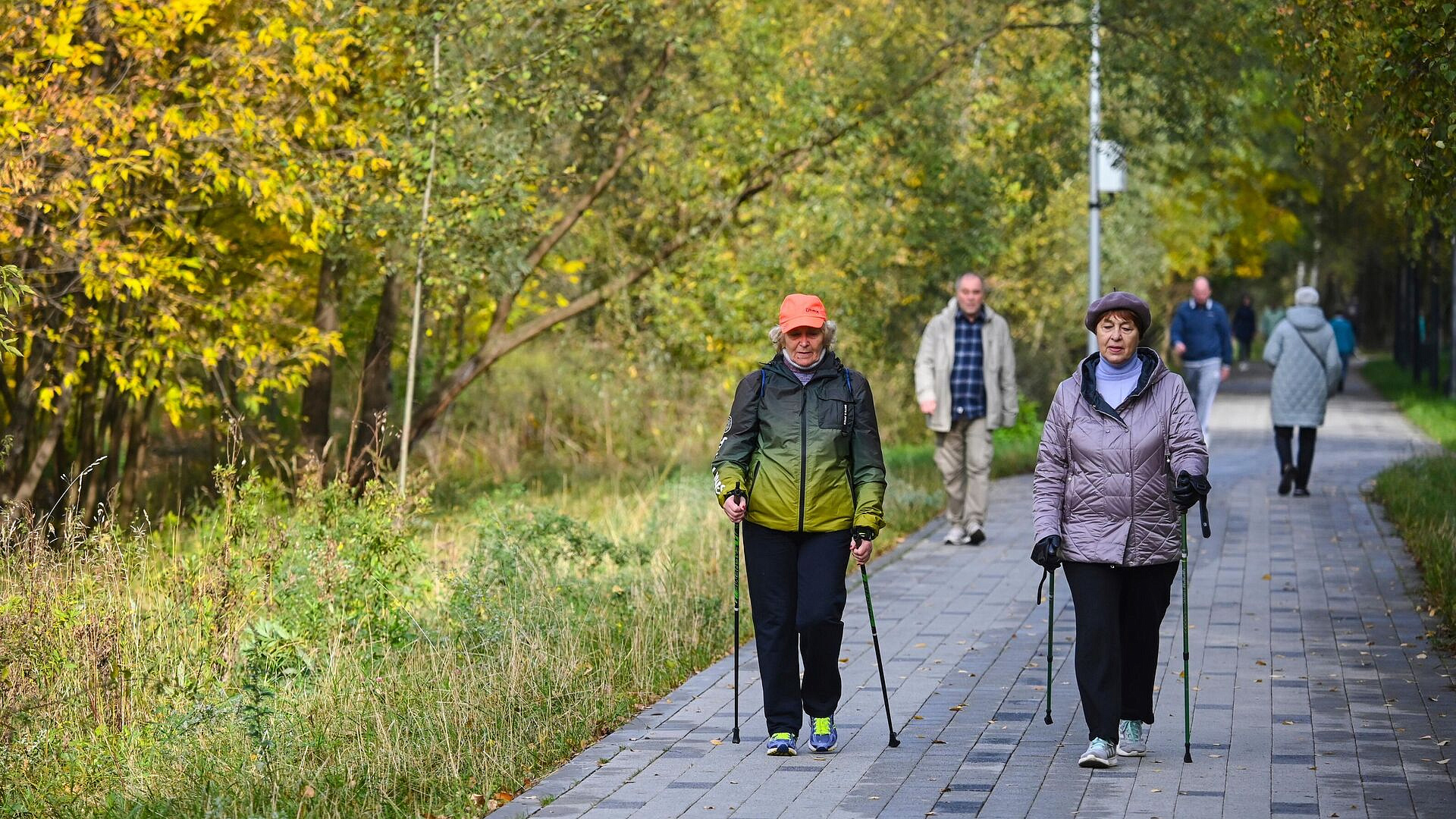 ������� ����������, ��� ������� �������� ��������� � ������� ��� ��������