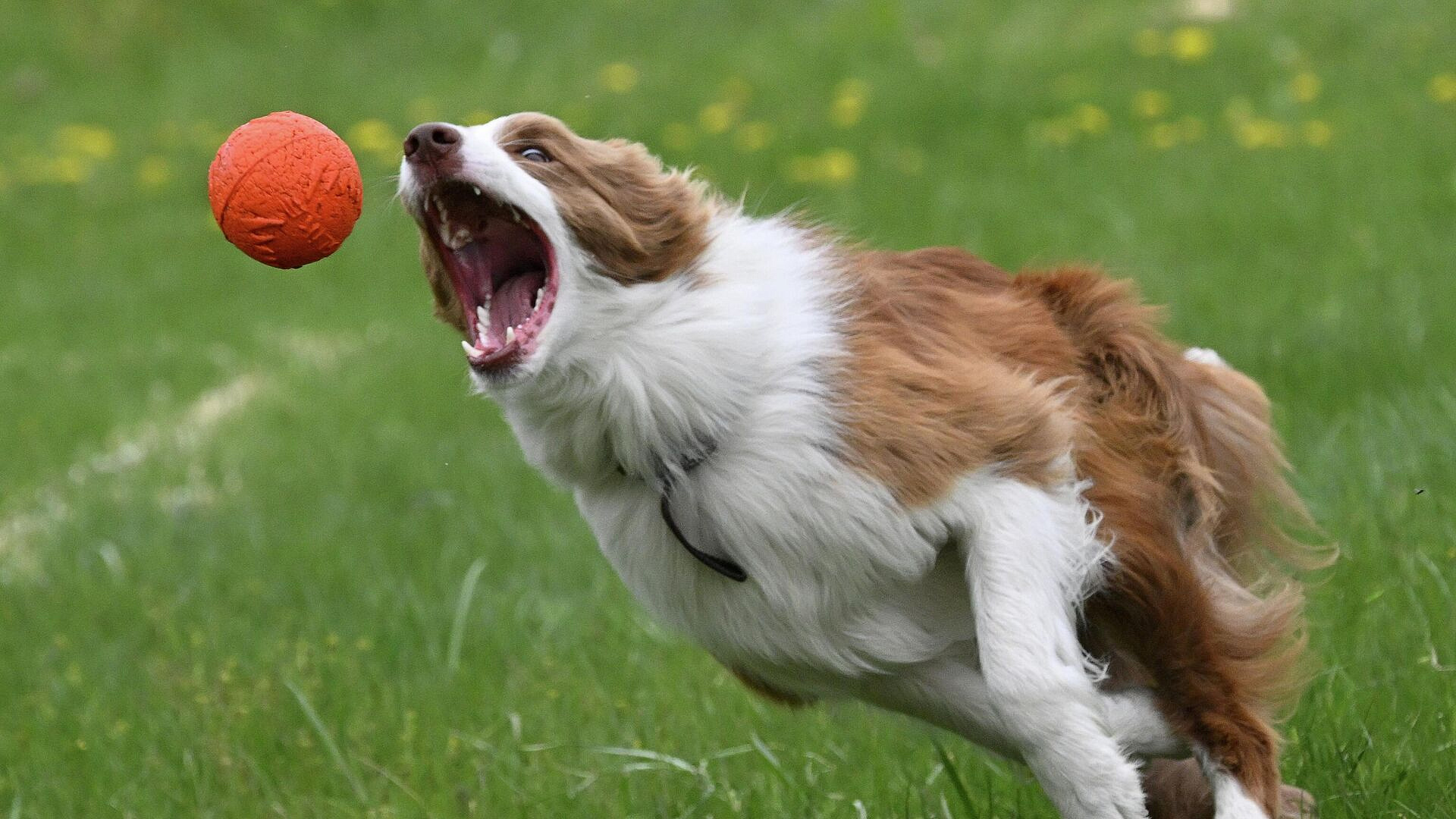 ������� ��������, ��� ������ ������ �������� � ��������� ������