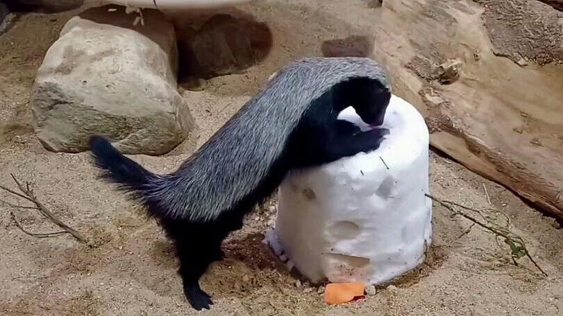 �������� �� ����������� �������� �������� ��������� � ����������