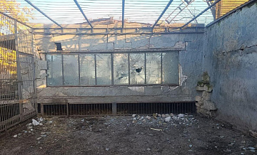 �������� �������� � ����������� ������� ������ �������� � ������� ����