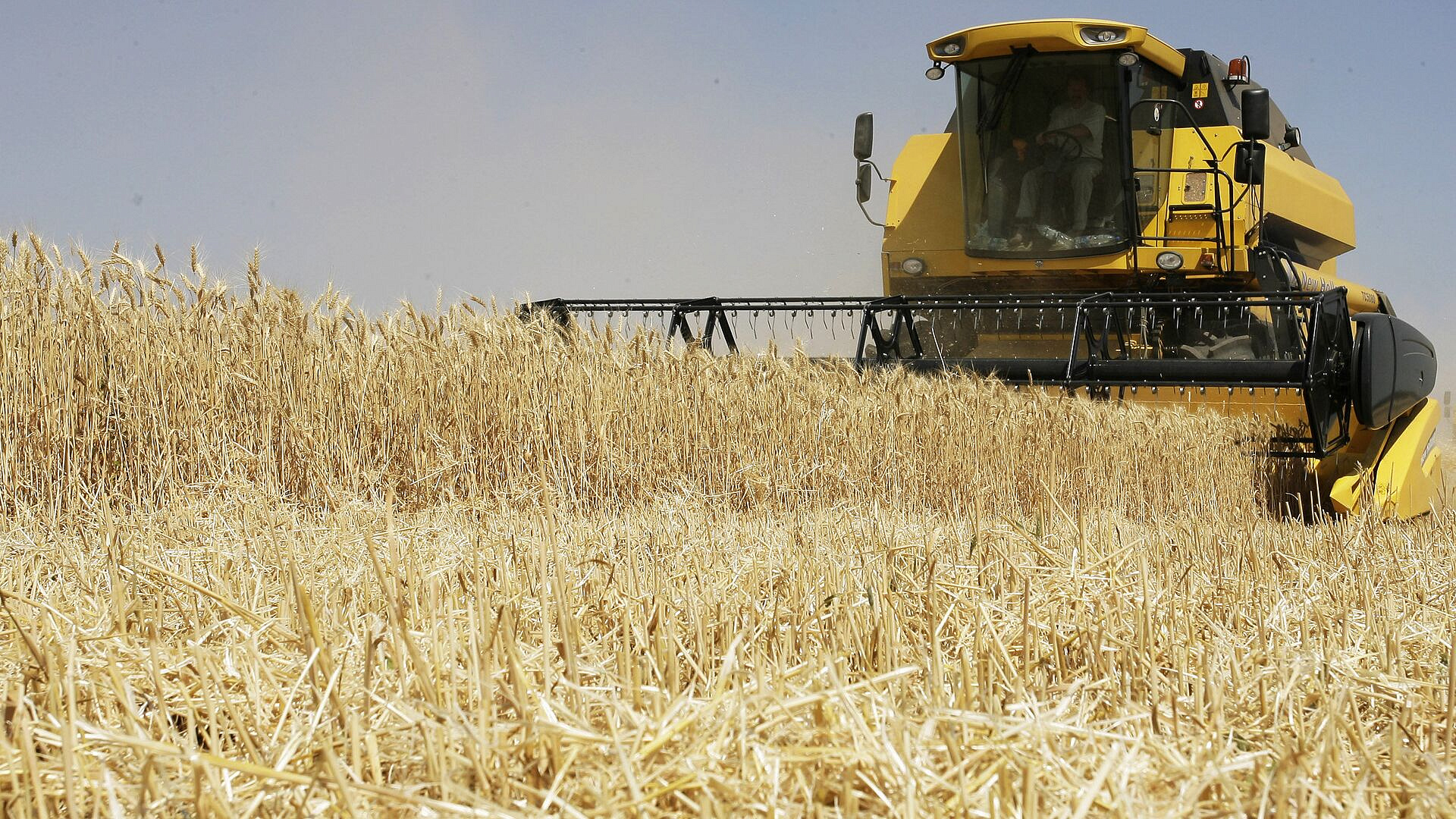 ������ ��������� ������ ����� � ���� �� ��������� �������