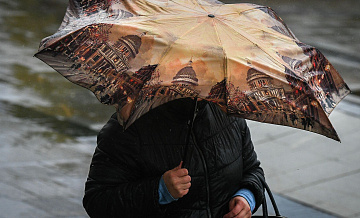 Во Франции зафиксировали исторический рекорд по продолжительности дождей