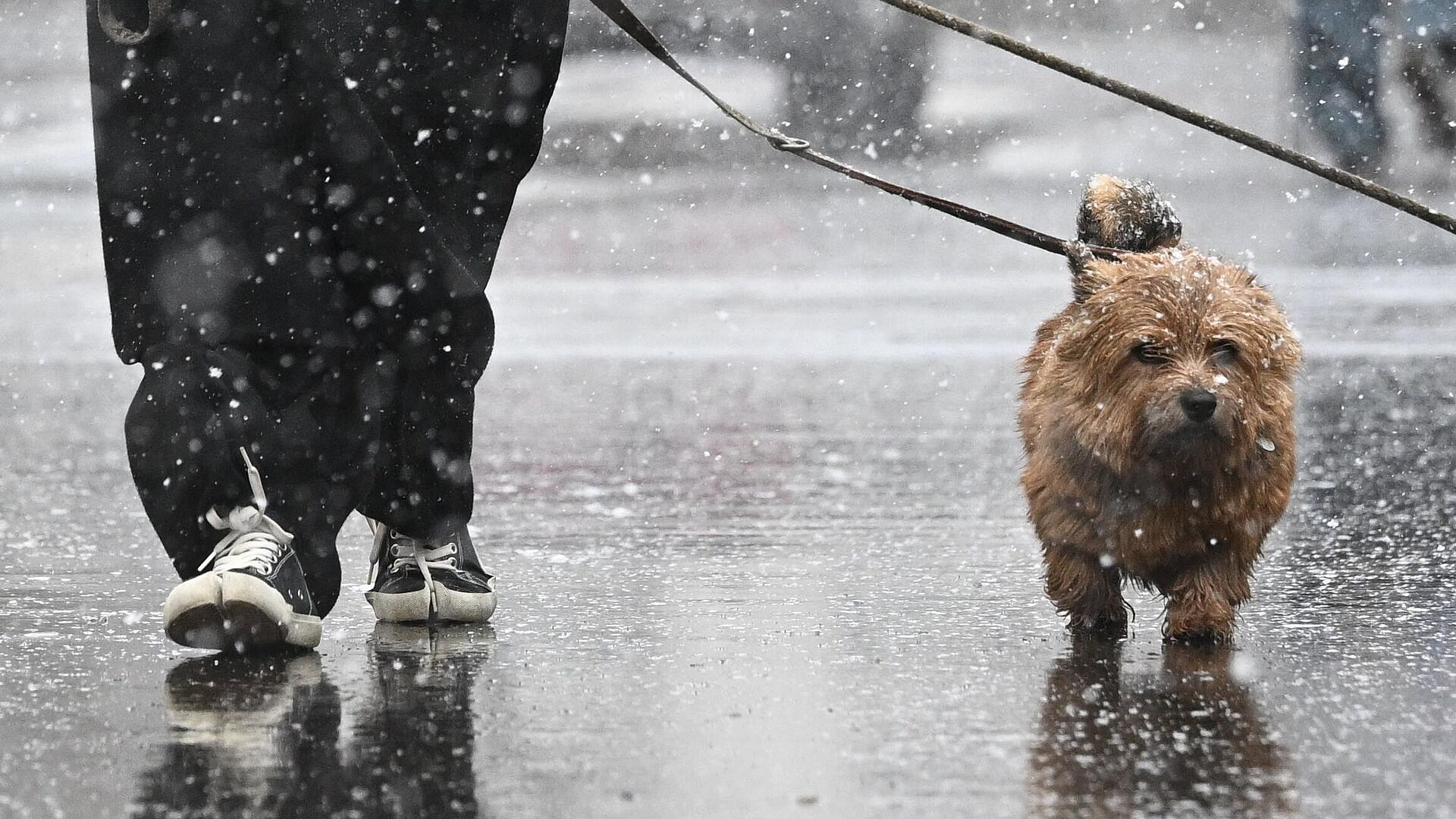 Синоптик опроверг данные о том, что Москву накроют снегопады