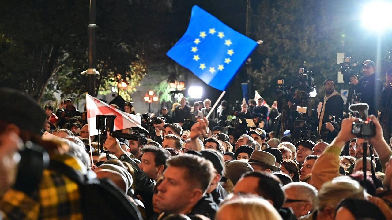 Пушков сравнил визит фон дер Ляйен в Грузию с украинским майданом