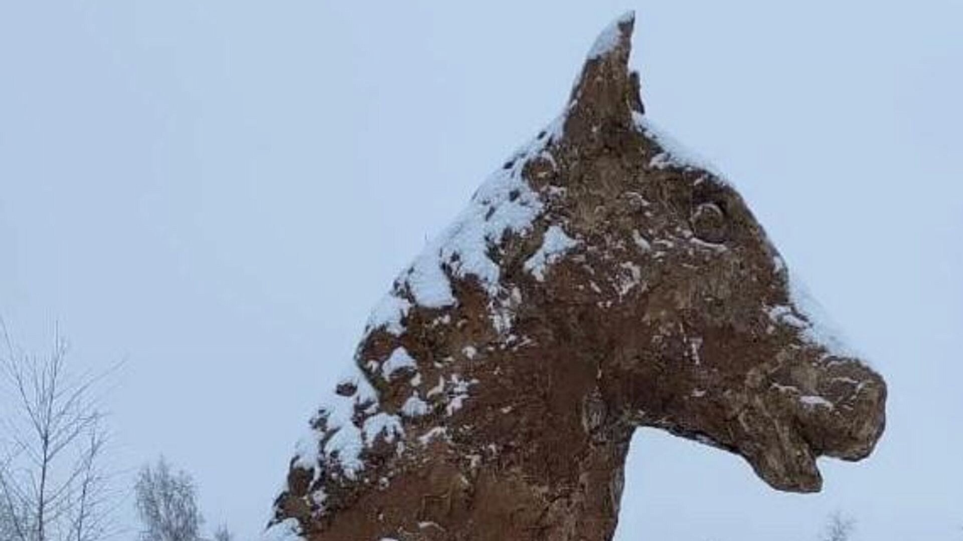 � ������ ������� ������ �� ��������� ������