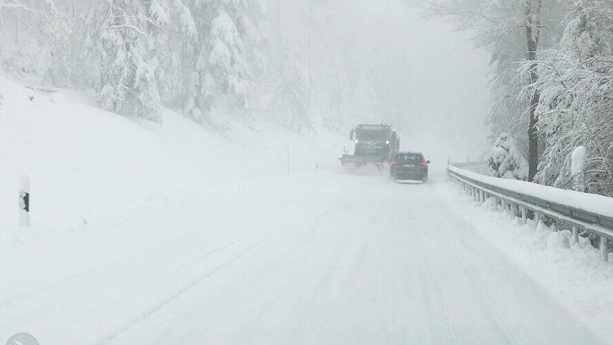 � �������� �������� ������������ �������� �������