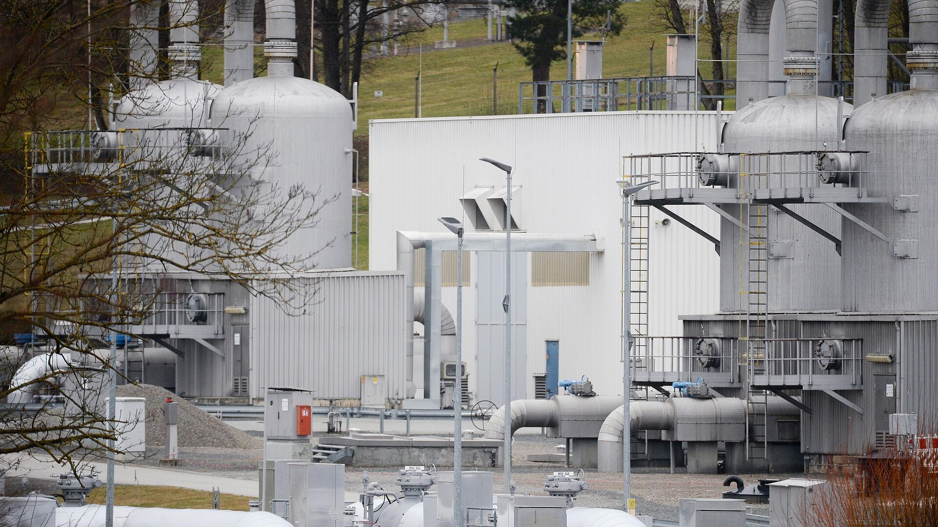 � �������� ���� �� ��� �������� ����� ������� �������� � ���� 2025 ����