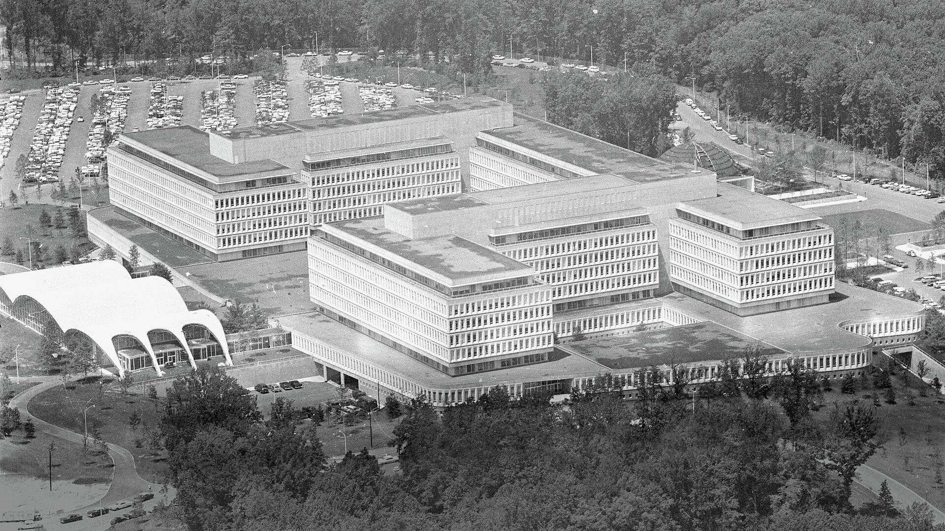 ��� ������������ ���������� ���� � ������