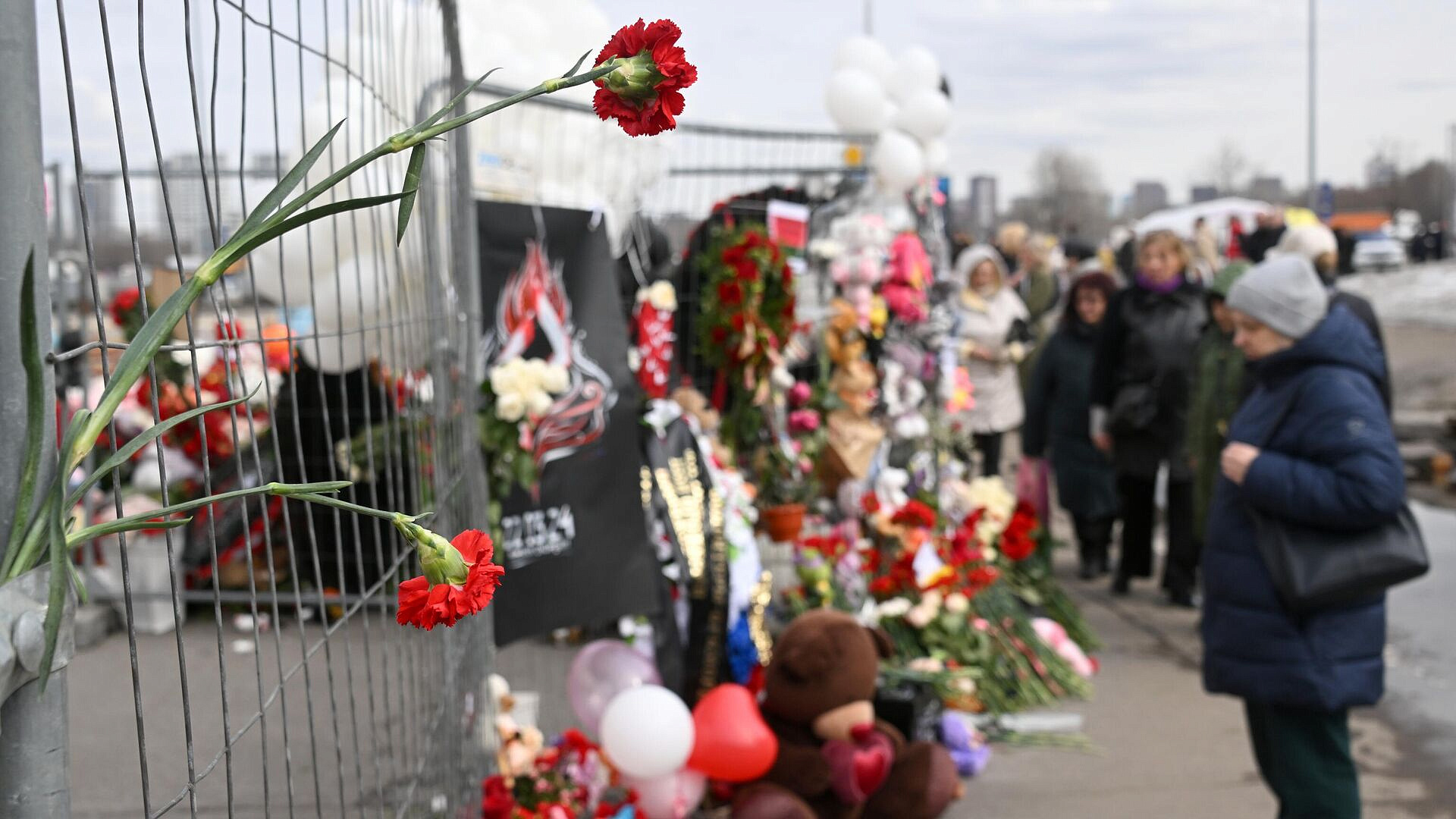 Уроженка Таганрога погибла с сыном при теракте в "Крокусе"