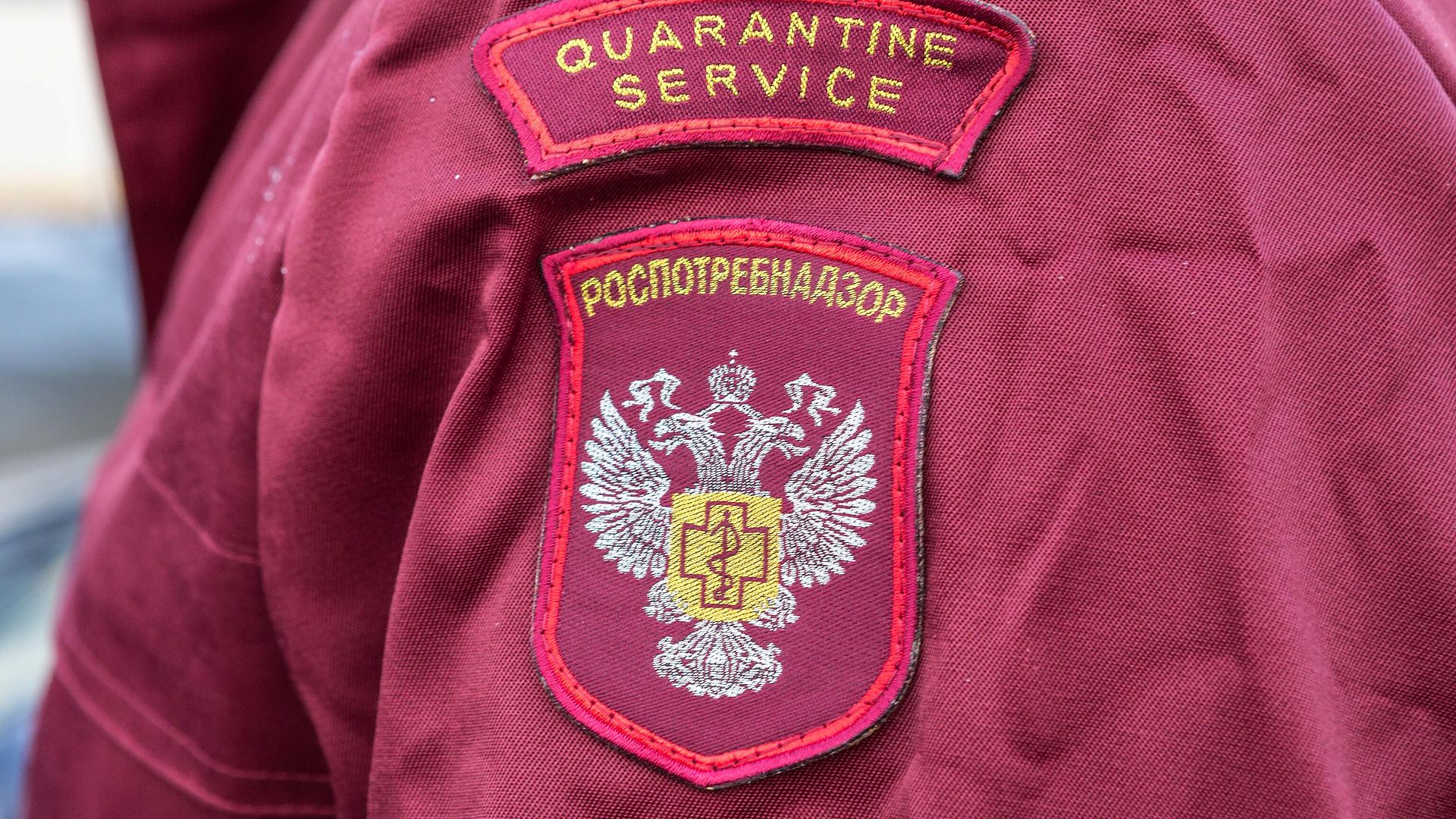 Роспотребнадзор открыл горячую линию по профилактике энтеровируса