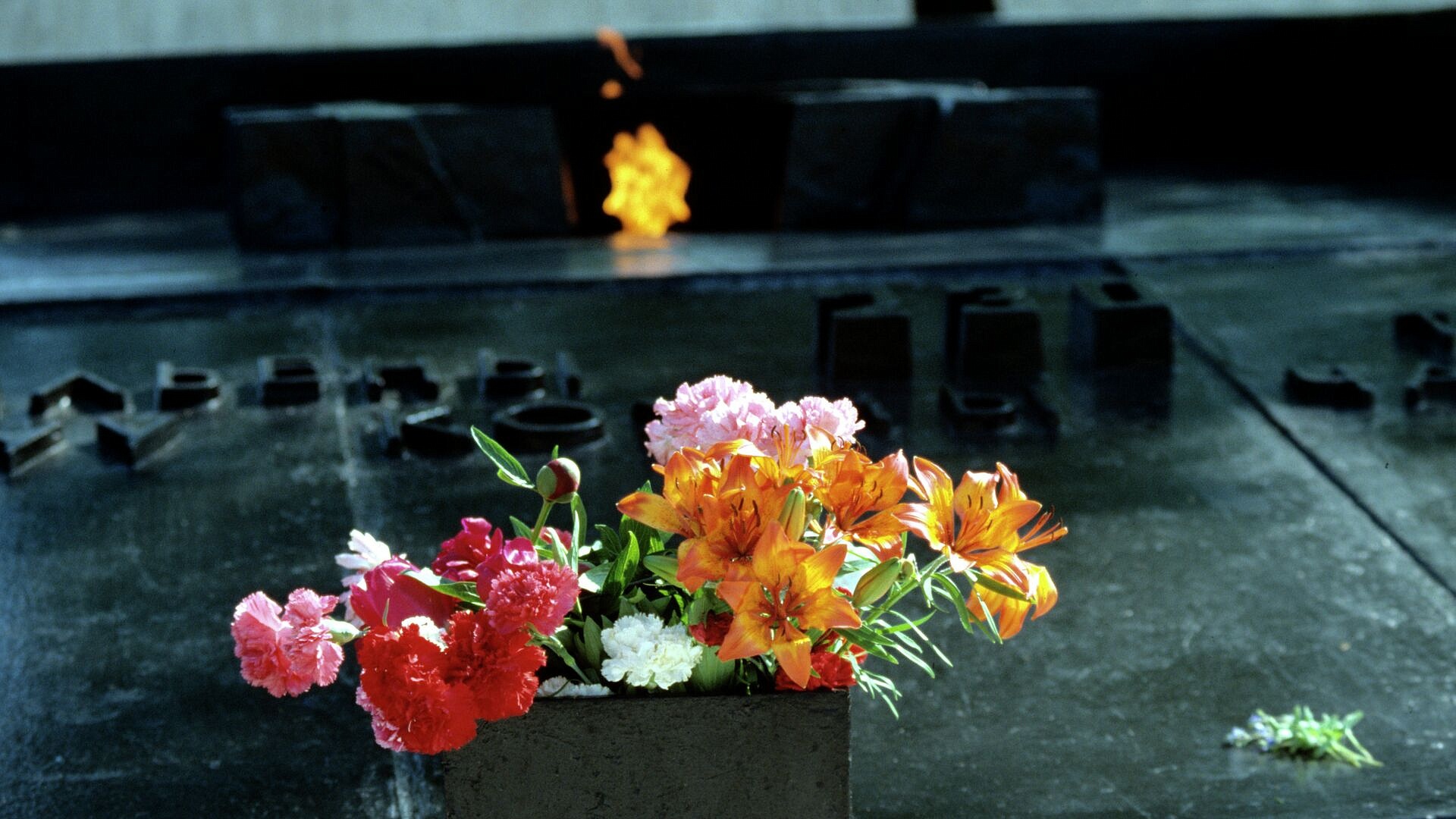 �������� ������� �������� "������" � ������ ������ �������� � ���