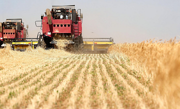 "Хорошая планка". Путин оценил ежегодные объемы урожая зерна