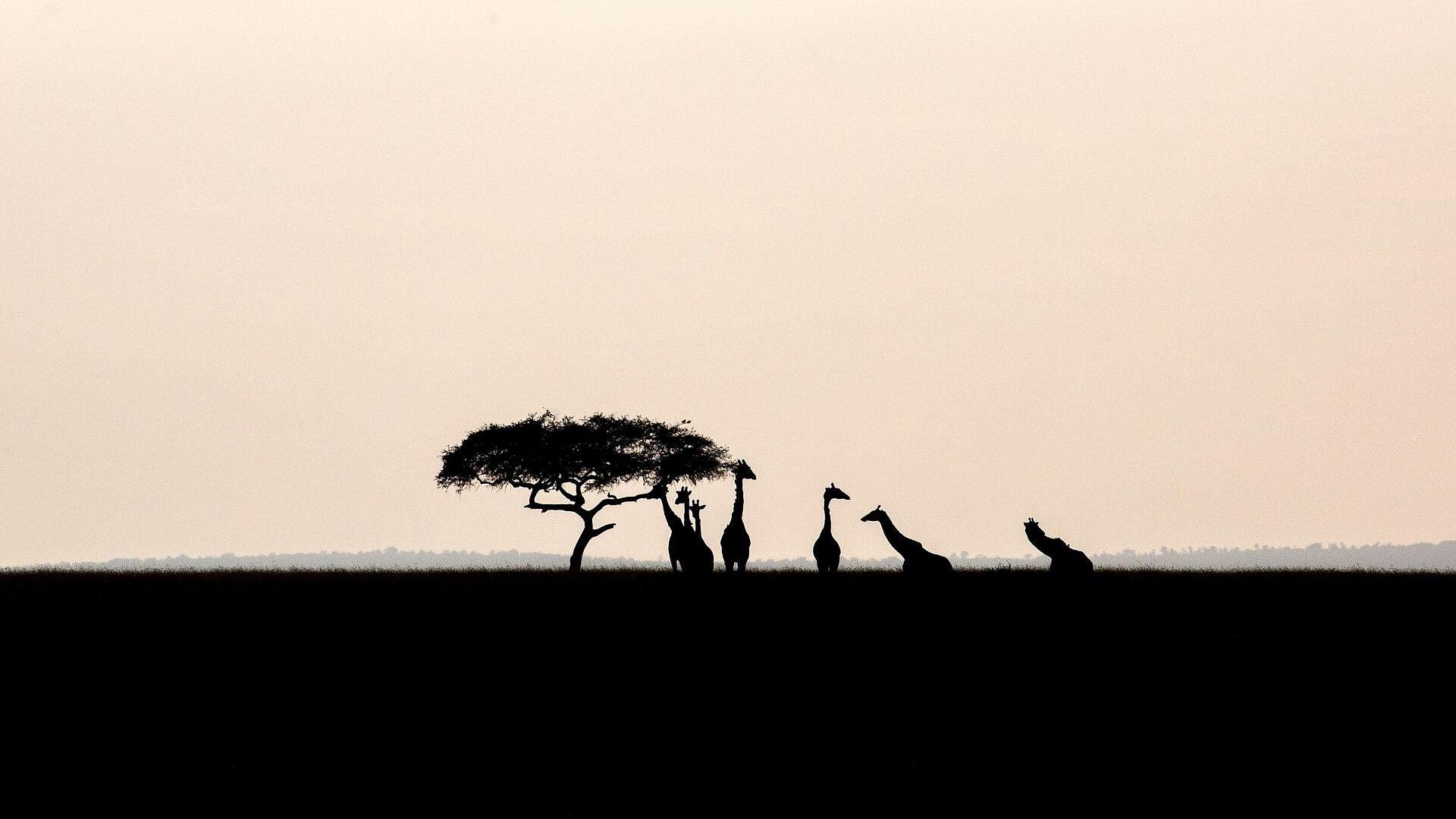 � ����� ������� �������� � ������