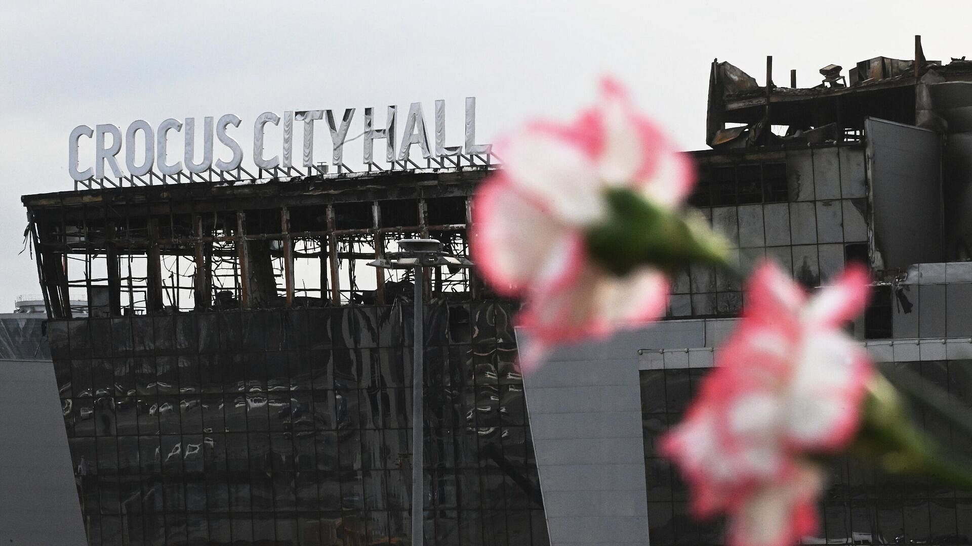 �������� ������ ������� ���������� �� ������ � "�������" ������������