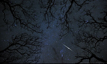 Метеорный поток Квадрантиды достигнет пика 4 января