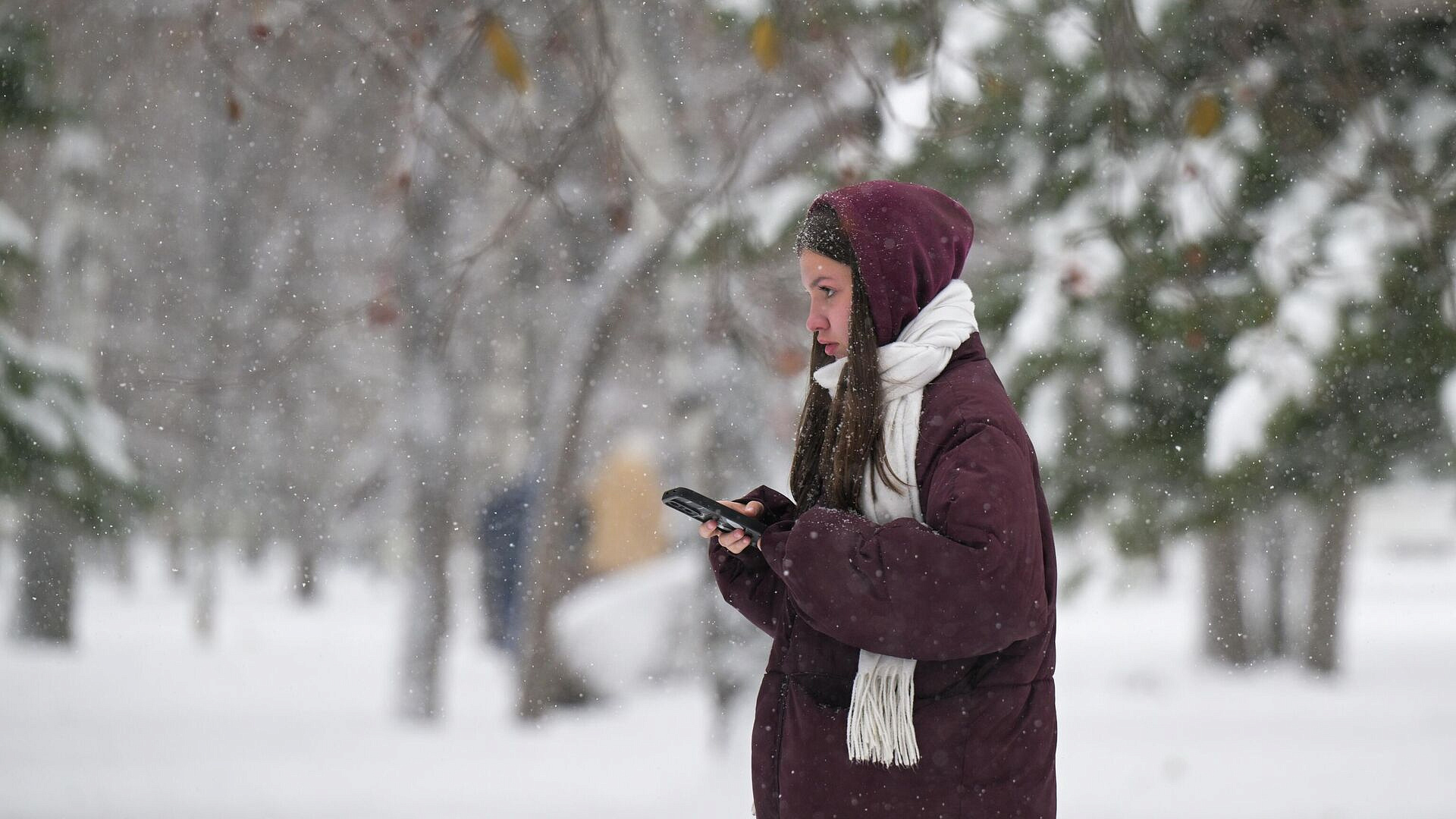 ������� ����� ����������� � ������ ��������� � 2025 ����