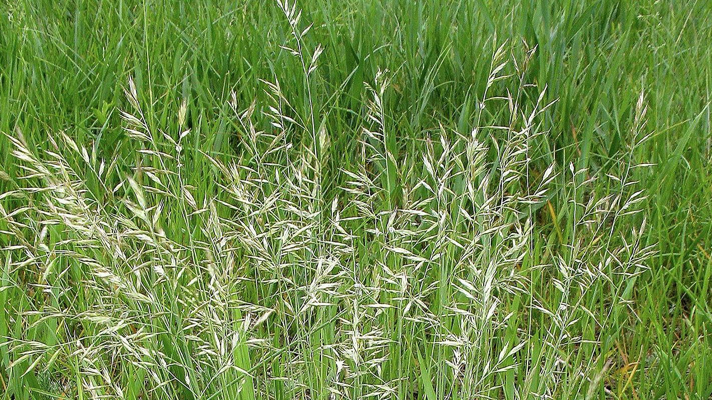 � ������ ������ ������ ������ ���� ������