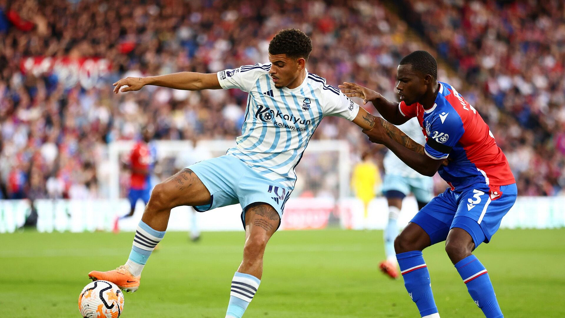 "���� ���" �������� "��������� ������"