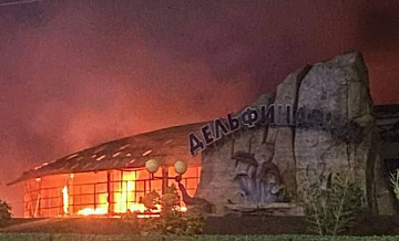 Прокуратура назвала возможную причину пожара в зоопарке в Ейске