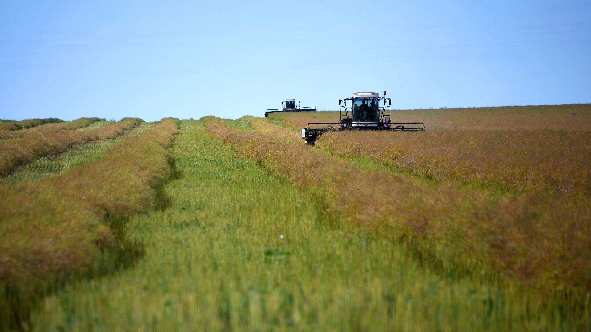 Компенсация части затрат хозяйствам в Забайкальском крае выросла