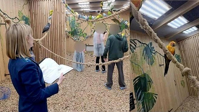 В Москве в антикафе нашли более ста мертвых попугаев