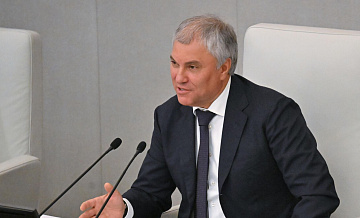 Володин рассказал о работе над проектом амнистии