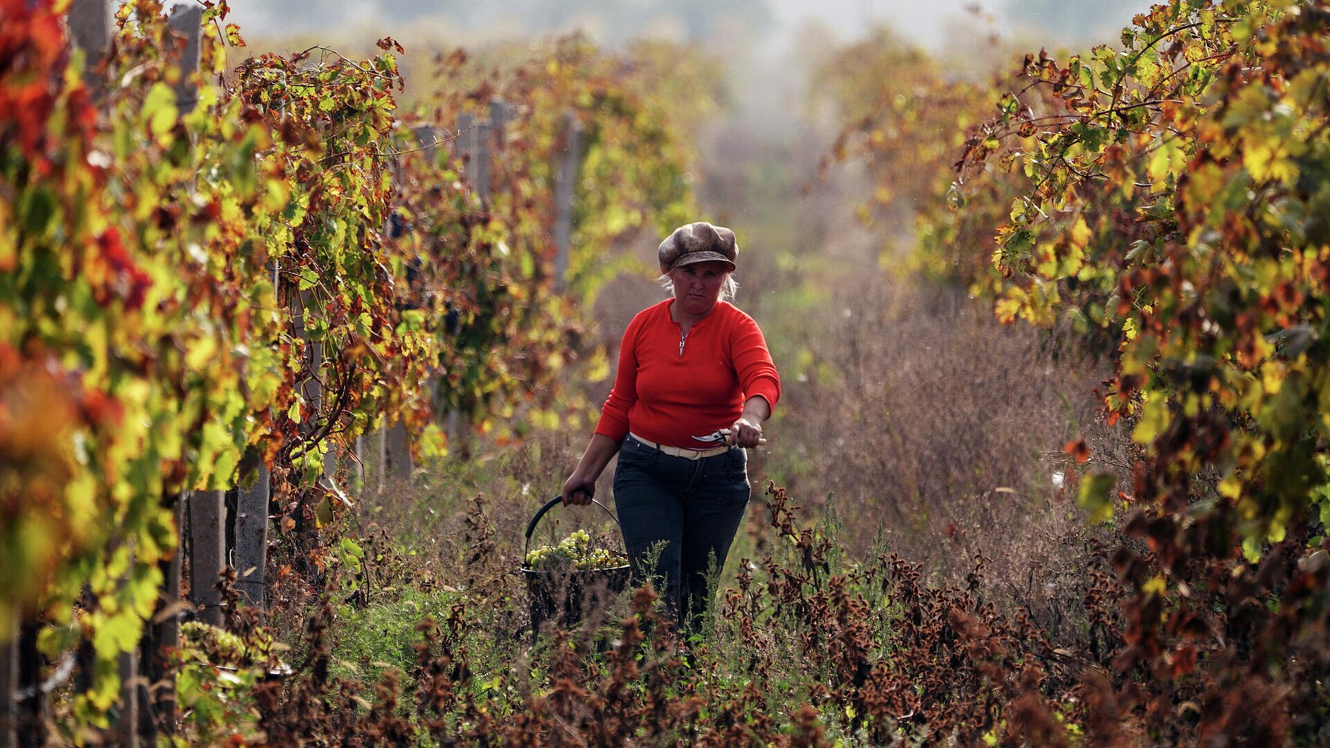 В Москве открылся третий Российский винодельческий форум