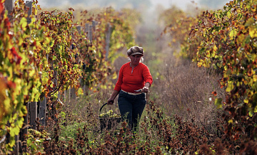 В Москве открылся третий Российский винодельческий форум